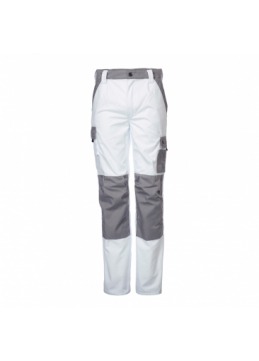 D-FORCE ATLAS PANTALON DE PEINTRE